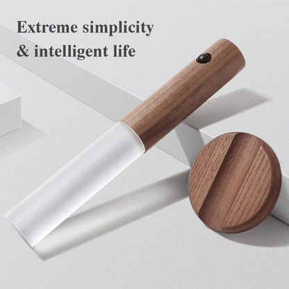 Eco Torch Night light
